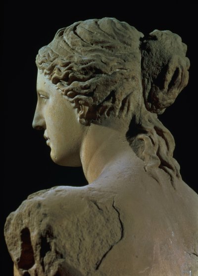 Venüs de Milo, başın arkasının detayı, Helenistik dönem, MÖ 100 civarı mermer önden görünüm için bkz. 14152 by Greek