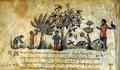 Şahinle avlanmak ve kuş yuvalarını yakalamak. Oppianus De Venatione