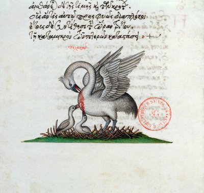 Ms 3401 Bir Bestiary