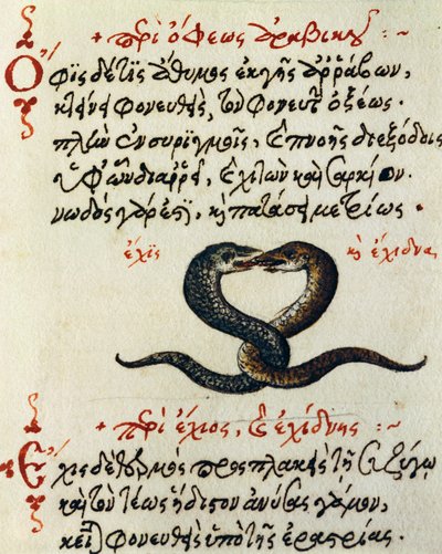 Aelianus