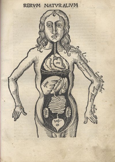 margarita felsefi Anatomi, 1504 by Gregor Reisch