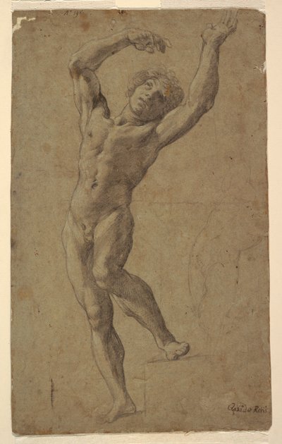 St. Sebastian için Çalışma, Pomarici Santomasi Müzesi, Puglia, İtalya by Guido Reni