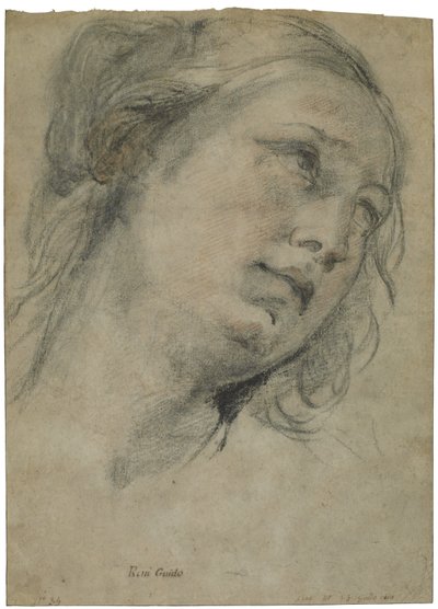 Yukarıya Bakan Genç Bir Kadının Başı, c.1609 (kahverengi kağıt üzerine beyaz tebeşir dokunuşlarıyla siyah ve kırmızı tebeşir) by Guido Reni