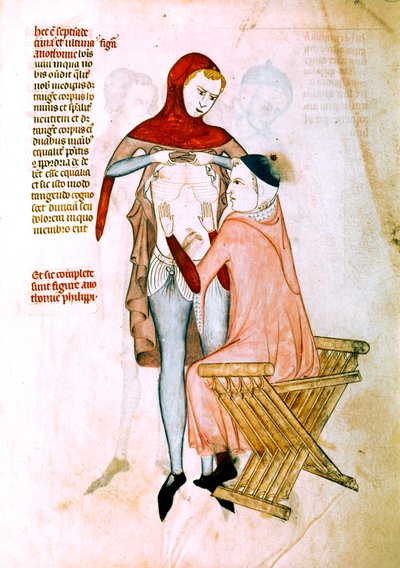  by Guido da Vigevano da Pavia