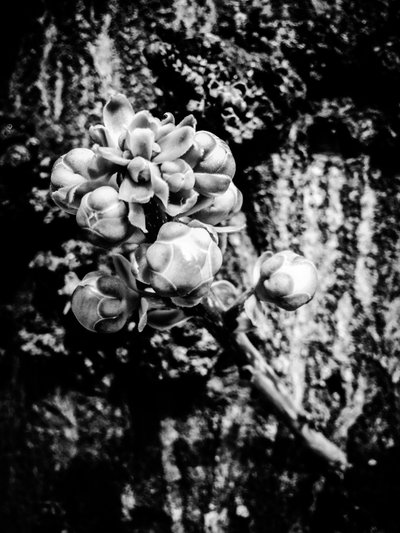  by Guilherme Pontes