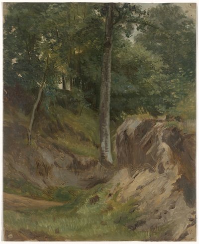 Ormandaki kuru dere by Guillaume Anne van der Brugghen