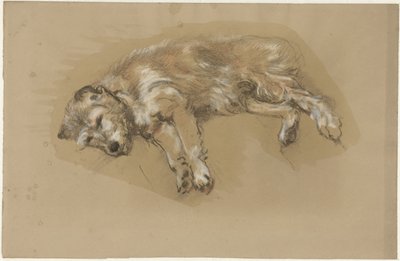 yalancı köpek by Guillaume Anne van der Brugghen