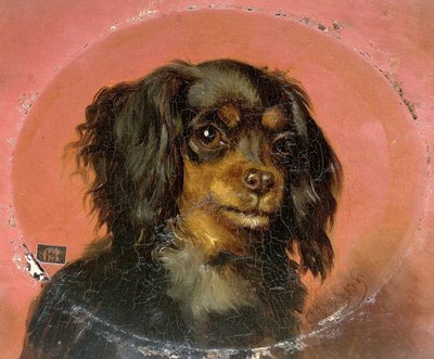 Köpek yavrusu portresi by Guillaume Anne van der Brugghen