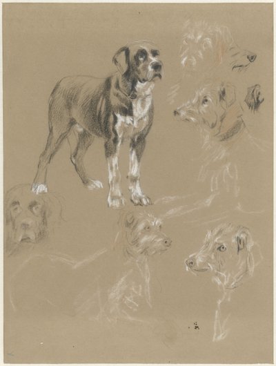 Bir köpeğin çalışmaları by Guillaume Anne van der Brugghen