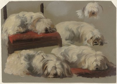 Beyaz kucak köpeği çalışmaları by Guillaume Anne van der Brugghen