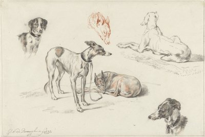 köpek çalışmaları by Guillaume Anne van der Brugghen