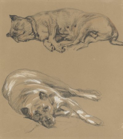 Yalancı bir köpeğin iki çalışması by Guillaume Anne van der Brugghen