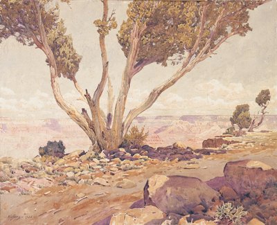 büyük Kanyon by Gunnar Widforss