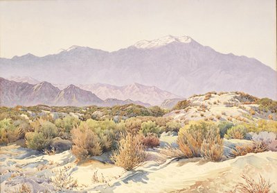 San Jacinto (kağıt üzerinde w/c) by Gunnar Widforss