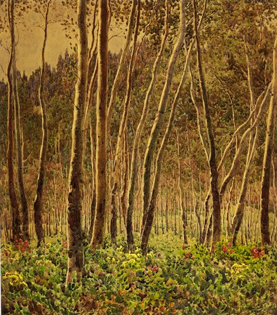 güneşli huş ağacı by Gunnar Widforss