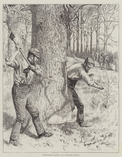 Tarım Manzaraları, Mayıs, Kabuk Hasadı by Gunning King