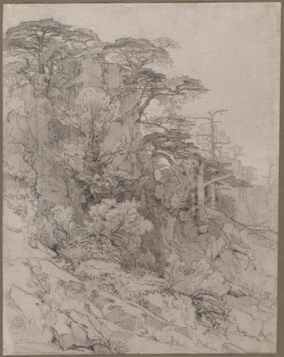Rocky Hillside'ın Ağaçları by Gustave Achille Guillaumet