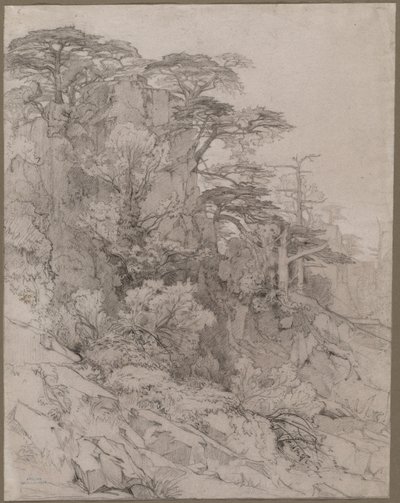 Rocky Hillside
