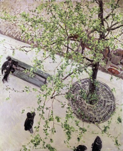 Yukarıdan Görülen Bulvar, 1880 by Gustave Caillebotte