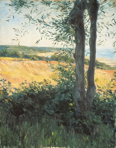 Deniz kenarında, Normandiya, 1884 by Gustave Caillebotte