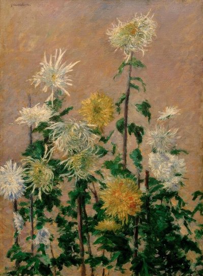 beyaz ve sarı krizantem by Gustave Caillebotte
