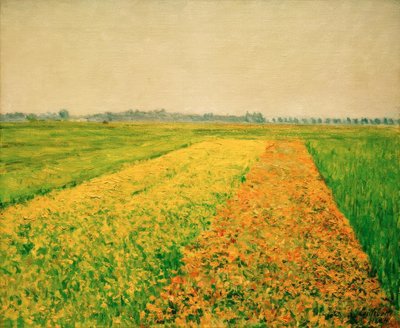 Gennevilliers ovası, sarı alanlar by Gustave Caillebotte