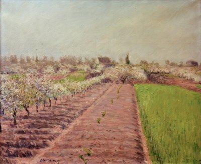 Elma ağaçları çiçek açmış, Colombes yamacı by Gustave Caillebotte