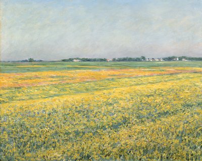 Gennevilliers Ovası, Sarı Tarlalar; Gennevilliers ovası, sarı alanlar, 1884 by Gustave Caillebotte