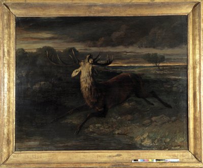 Geyiğin suyu var (koşarak avlanıyor) diyor geyik kuvveti (tuval üzerine yağlı boya) by Gustave Courbet
