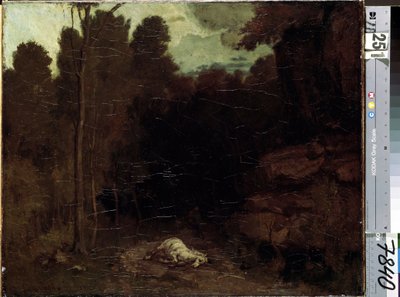 Bilinmeyen resim by Gustave Courbet