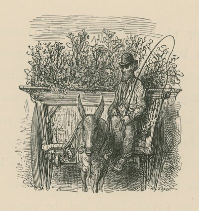 Bitkiler ve çiçeklerle dolu bir arabayı kullanan bir adam by Gustave Dore