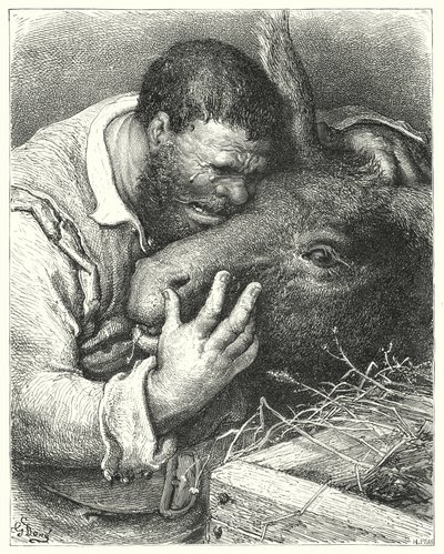 Gustave Dore'un Don Kişot'u: "'Buraya gel' dedi, 'dostum; sen sadık yoldaş ve seyahatlerimde ve sefaletlerimde ortaksın'" (gravür) by Gustave Dore