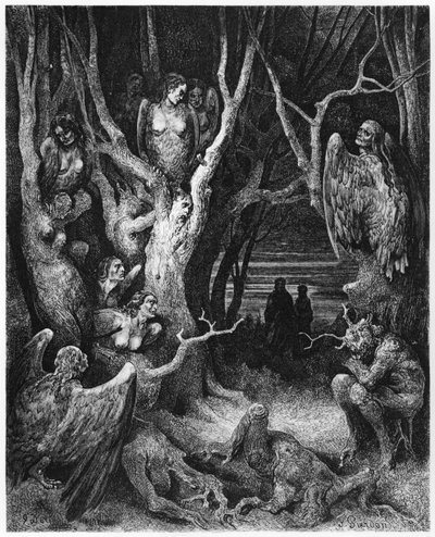Harpies, Dante Alighieri (1265-1321) Paris'in 'İlahi Komedya'dan (Cehennem) illüstrasyonu, 1885'te yayınlandı by Gustave Dore