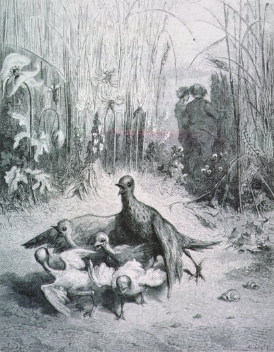 Lark Masalı, gençleri ve alanın ustası, La Fontaine Masalları için örnekleme rnrn by Gustave Dore