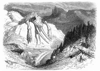  by Gustave Dore
