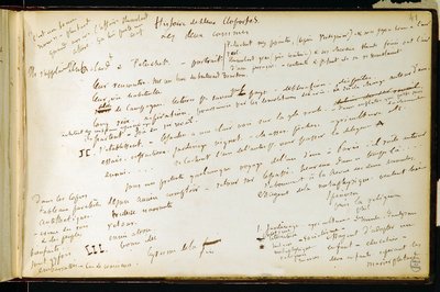 Çalışma kitabının folio 41 n. 19 Gustave Flaubert