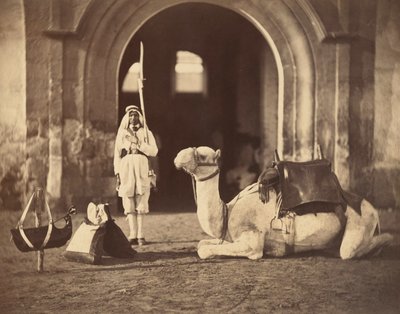 Yatan deve, 1866 dolayları (fotogravür) by Gustave Le Gray