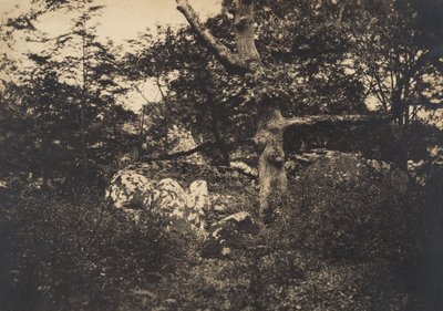 Fontainebleau