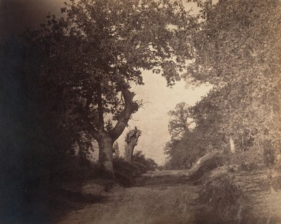 Fontainebleau, kumlu yol yokuş yukarı, yak. 1856. by Gustave Le Gray
