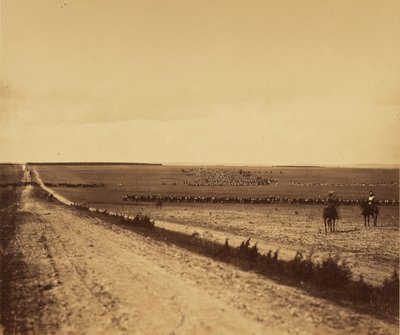 [Manevralar, Chalons Kampı]. by Gustave Le Gray