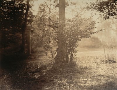 Ağaç Çalışması, Fontainebleau Ormanı, yak. 1856. by Gustave Le Gray