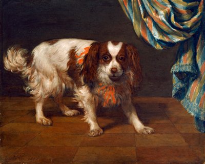 Bir King Charles Spaniel (panelde yağ) by Gysbert van de Kuyl