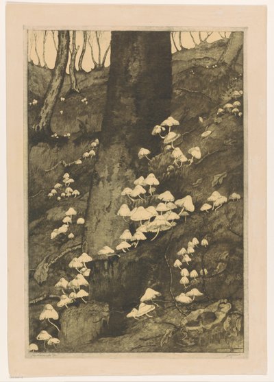Bir Orman Sonbaharında Mantarlar (orijinal başlık) by H.C. Spruit (signed by artist)