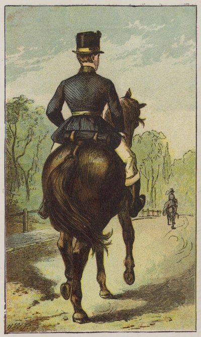 Damat (renkli taş) by H.W. (after) Petherick