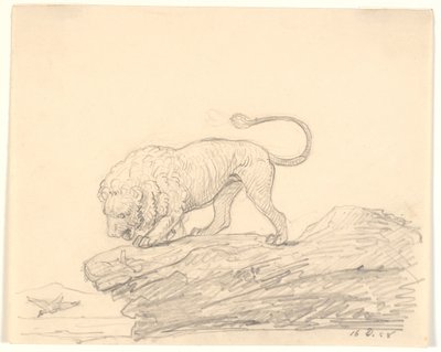 Bir uçurumun üzerinde bir aslan. Geçen bir kuş arıyor by H.W. Bissen