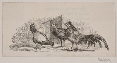 üç tavuk by H. C. Henneberg