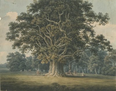 Needwood - Swipcar Oak: suluboya resim ve [?19. yüzyılın başlarında] by H Moore