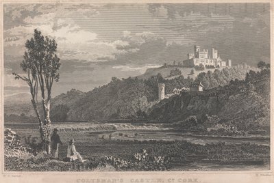 Coltman's Castle, Co. Cork; sayfa 70 (Birinci Cilt) by H. Winkles