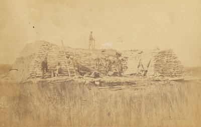 Bataklık Meleği by Haas and Peale