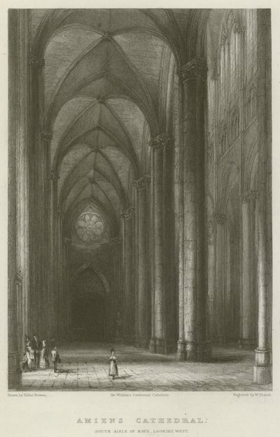 Amiens Katedrali, Nave